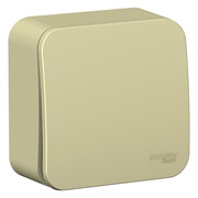 SE Blanca наруж Беж Выключатель 1-клавишный (cх.1) изолир. пластина 10А, 250B, Systeme Electric, Бежевый, BLNVA101017