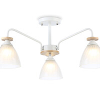 Потолочная люстра Modern TR9562