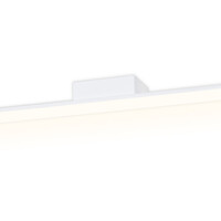 Настенный светильник Wall FW421