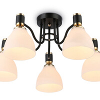 Потолочная люстра Modern TR303307