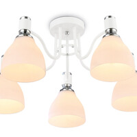 Потолочная люстра Modern TR303305