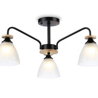 Потолочная люстра Modern TR9564