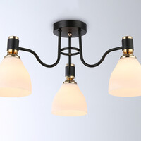 Потолочная люстра Modern TR303303