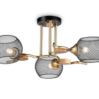 Потолочная люстра Loft TR80164