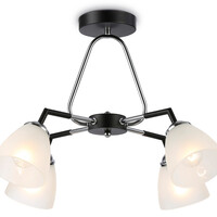 Потолочная люстра Modern TR303293